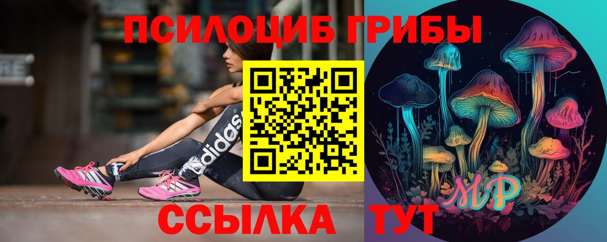 Чита  Псилоцибиновые грибы мухоморы  Вход с VPN  как найти закладки  Галлюциногенные грибы Magic Shrooms 